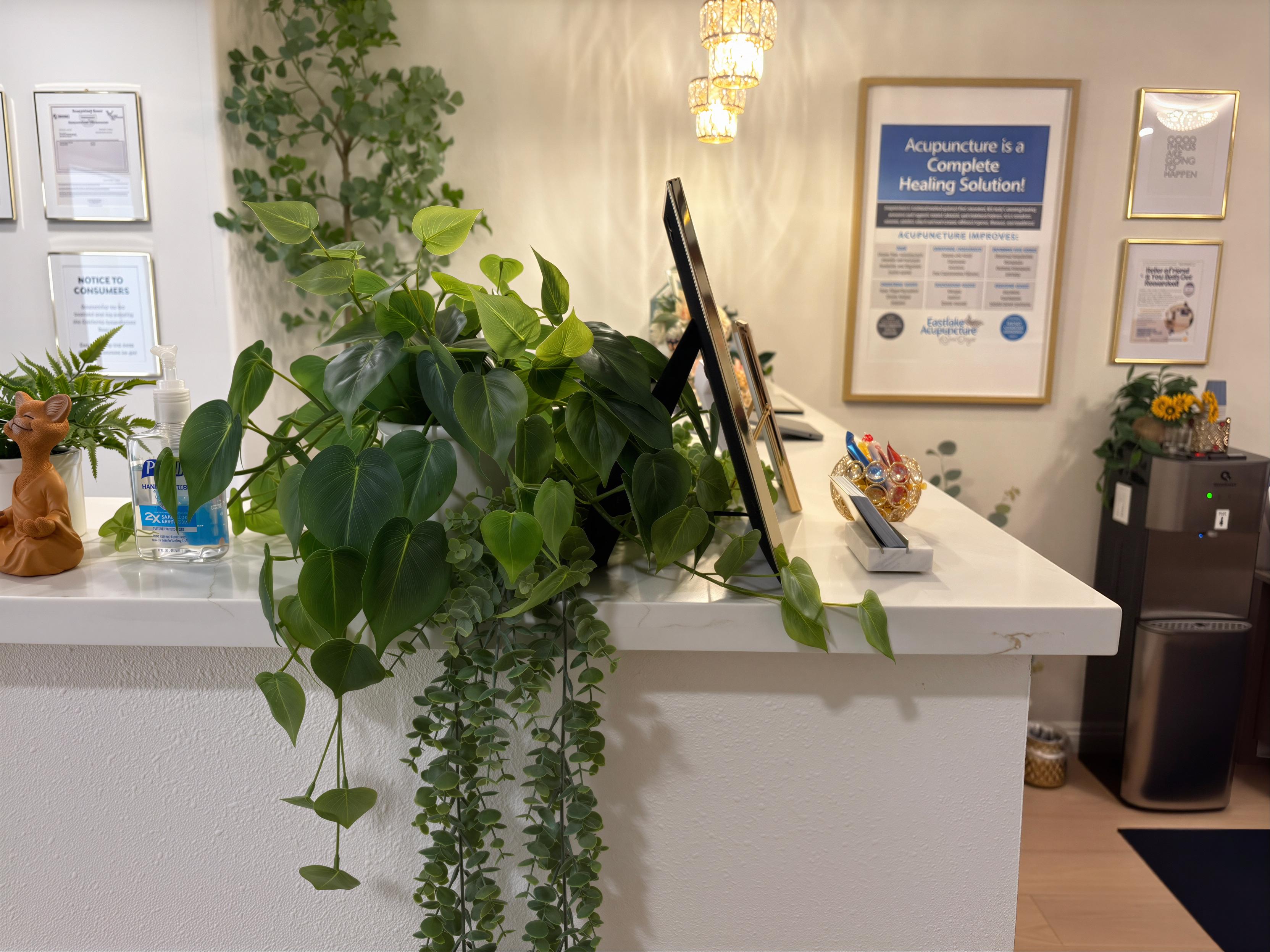 Eastlake Acupuncture of San Diego Image