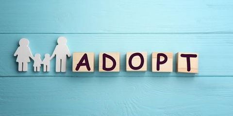 Why Should You Hire a Family Lawyer When Pursuing Adoption?