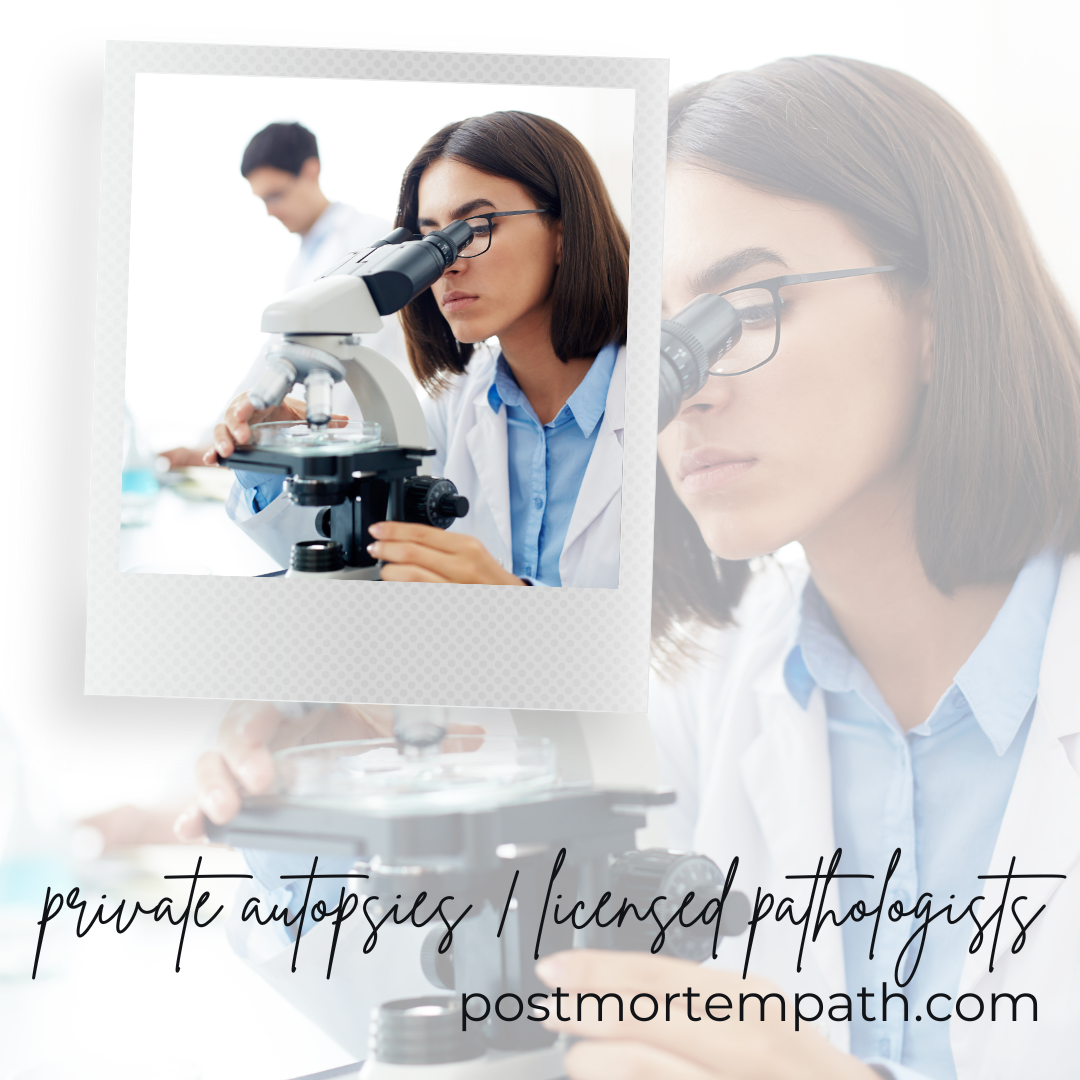 Postmortem Pathology Image