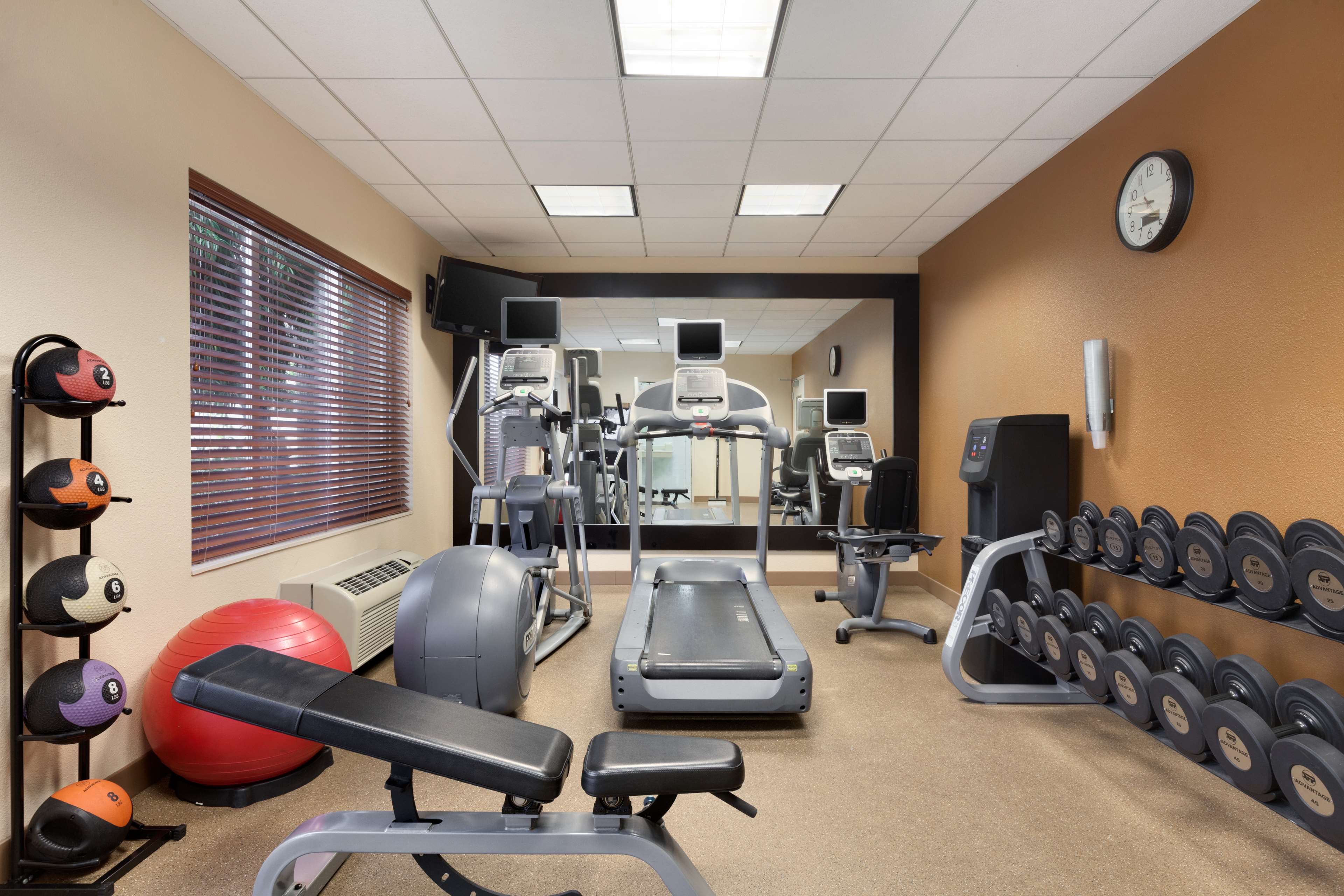 Health club  fitness center  gym