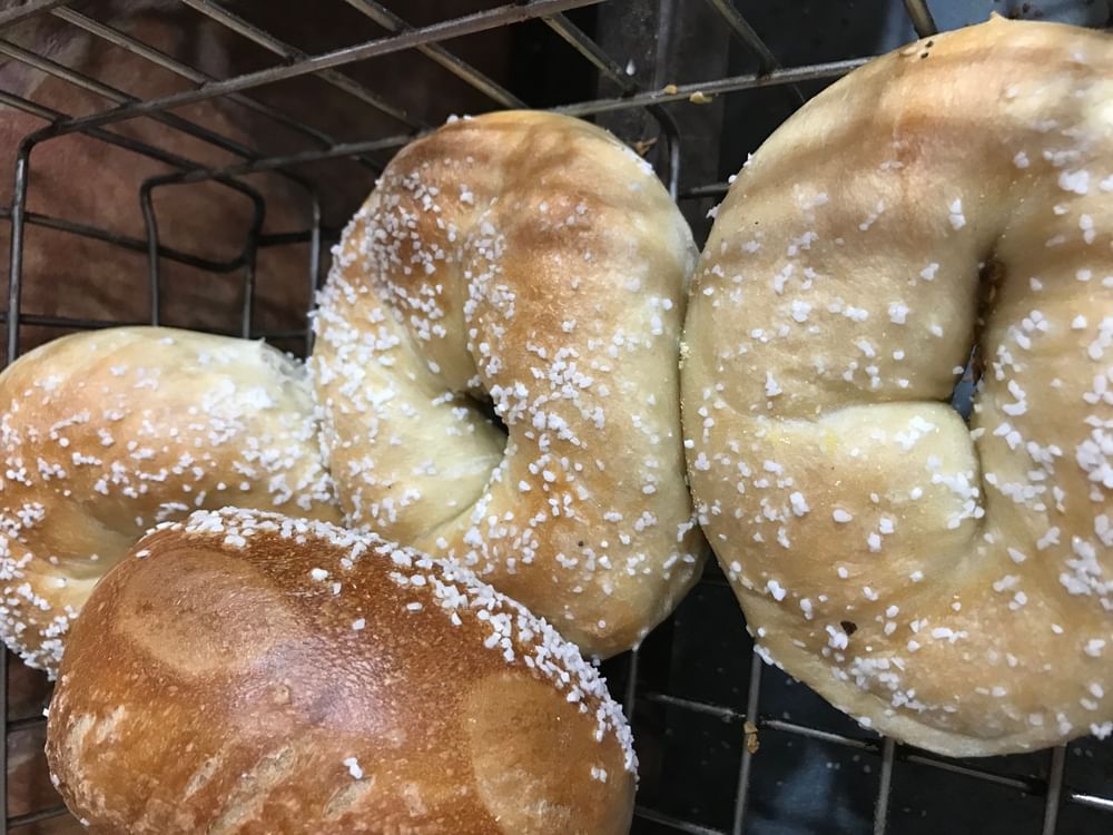 Salt Bagel