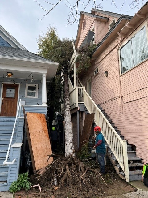 FC Valley Tree Care Inc. Image