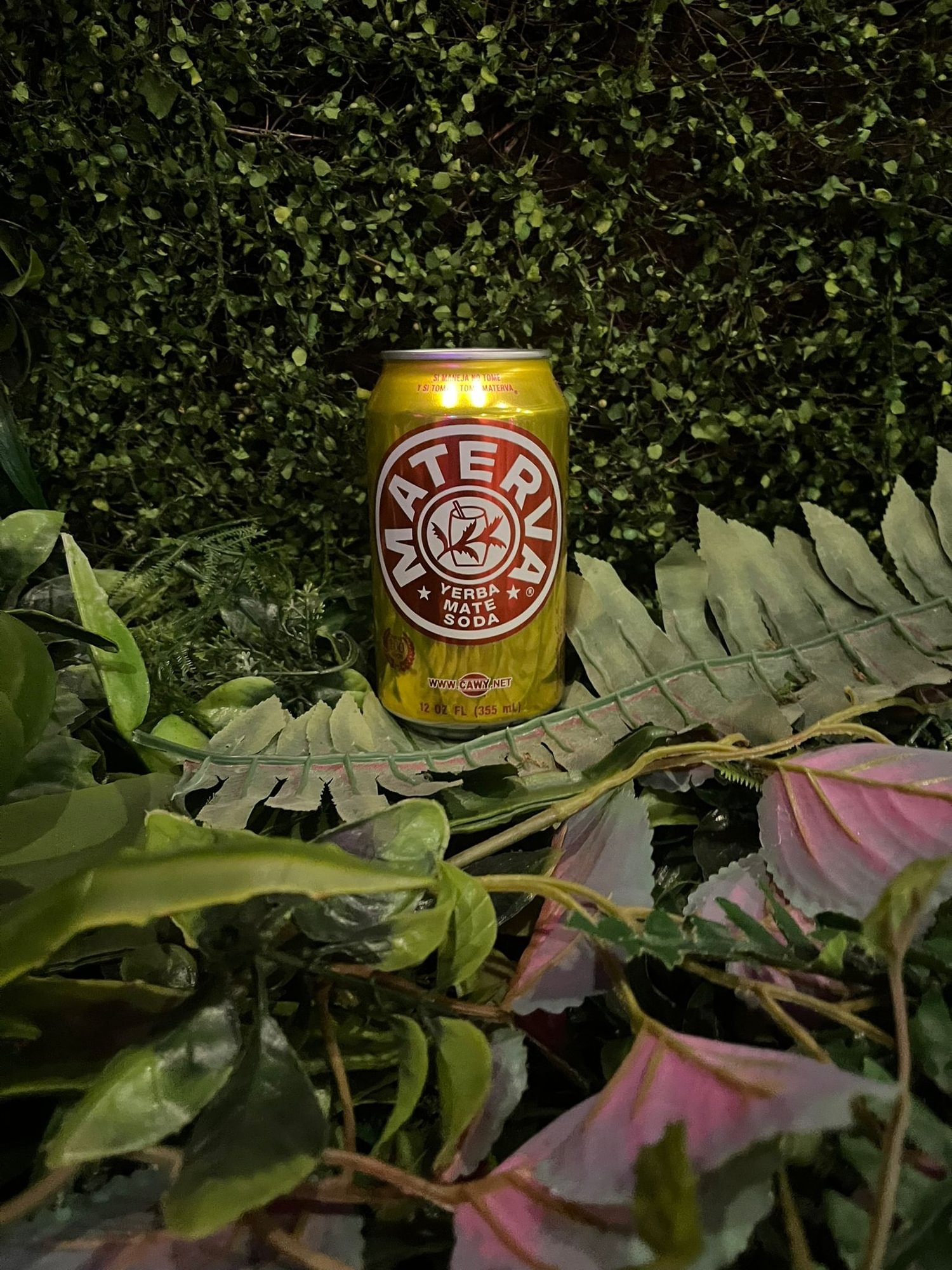 Materva
