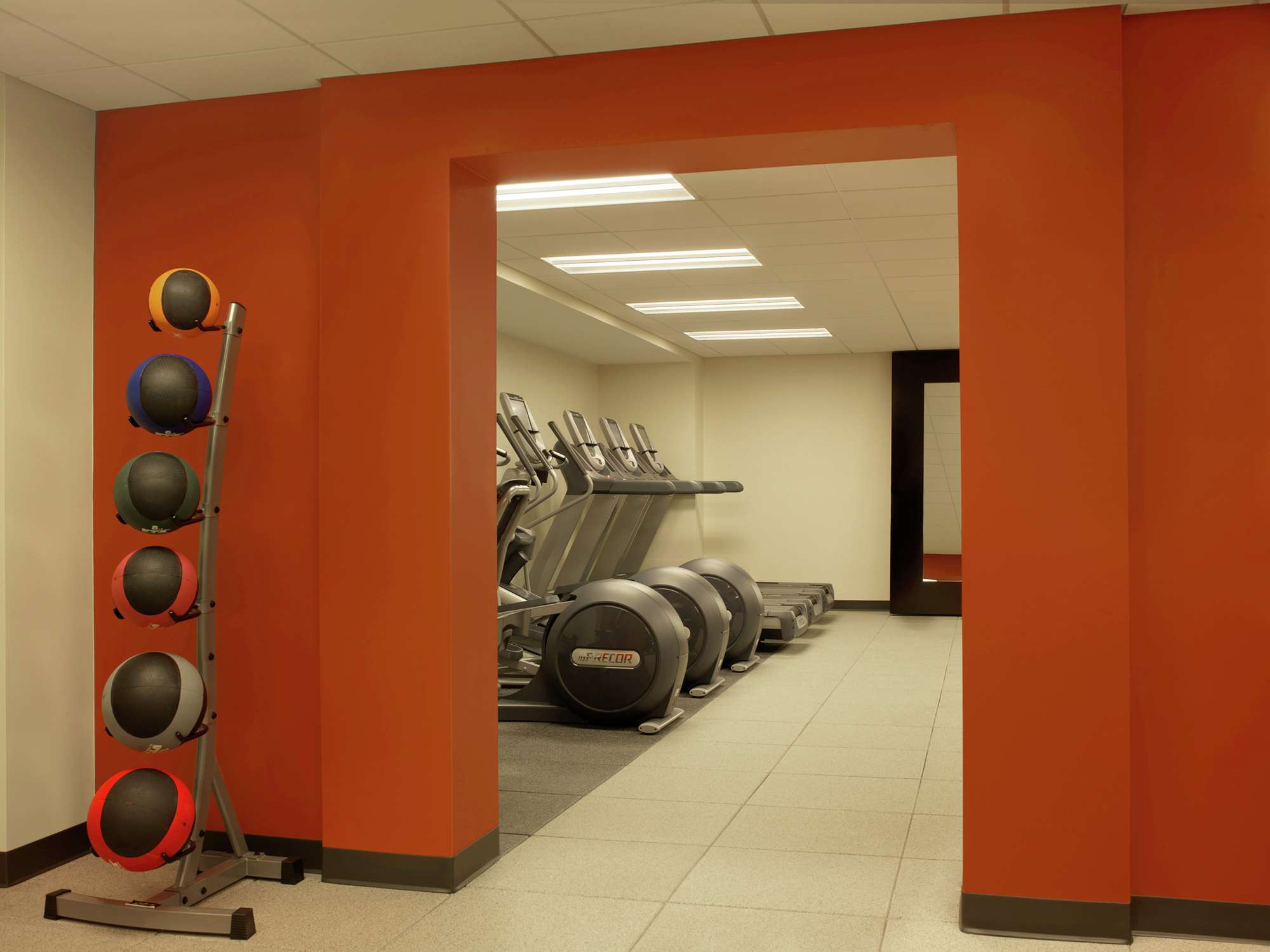 Health club  fitness center  gym