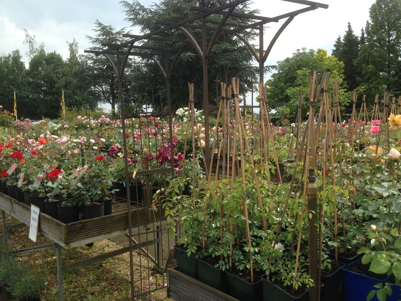Foto's Abbing Tuincentrum/Tuinaanleg