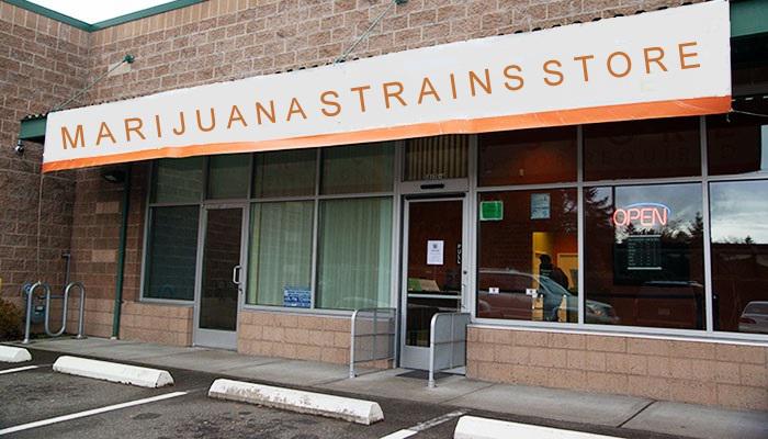 Marijuana Strains Store Photo