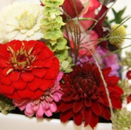 Blumen Stieber Wien Blumen Stieber Wien