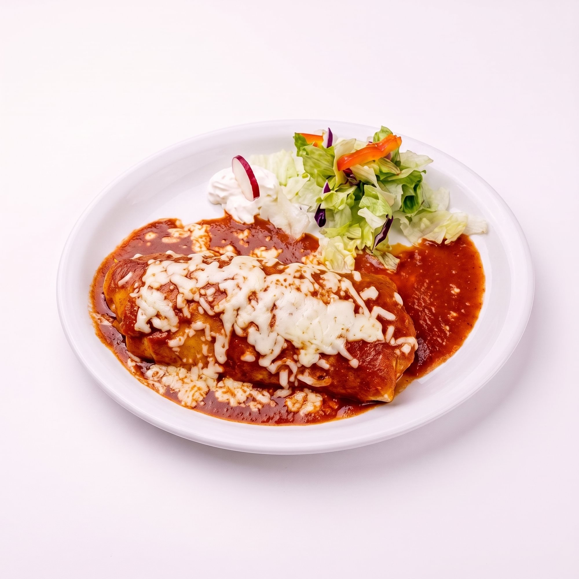 Pastor Asada, Carnitas, Chorizo, Pollo or Chile Relleno Burrito