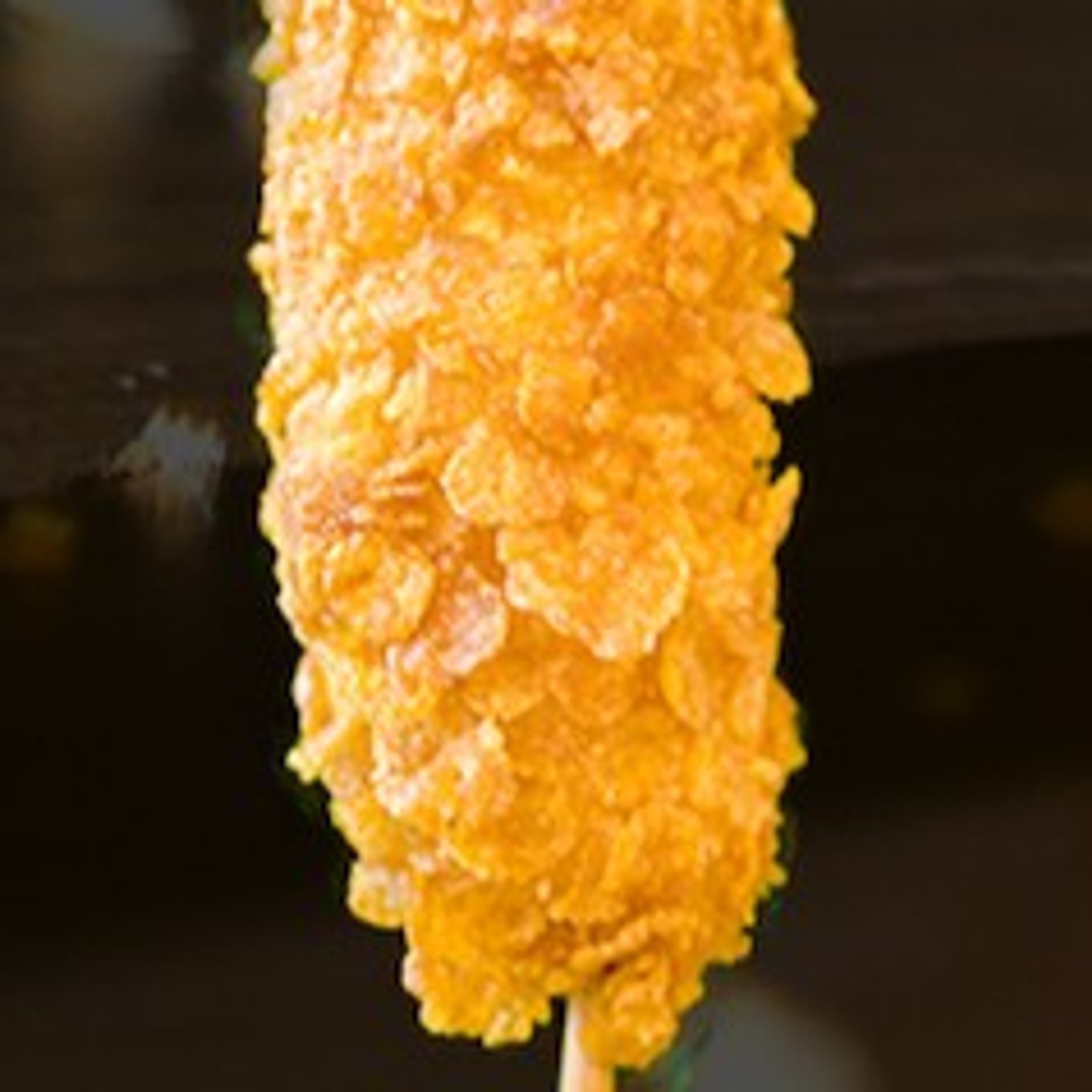 C18. CORN FLAKE MOZZARELLA