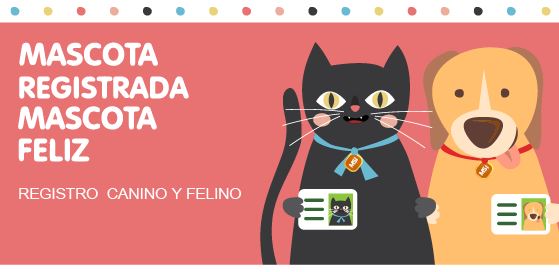 Foto de World Pets Peru Bongará