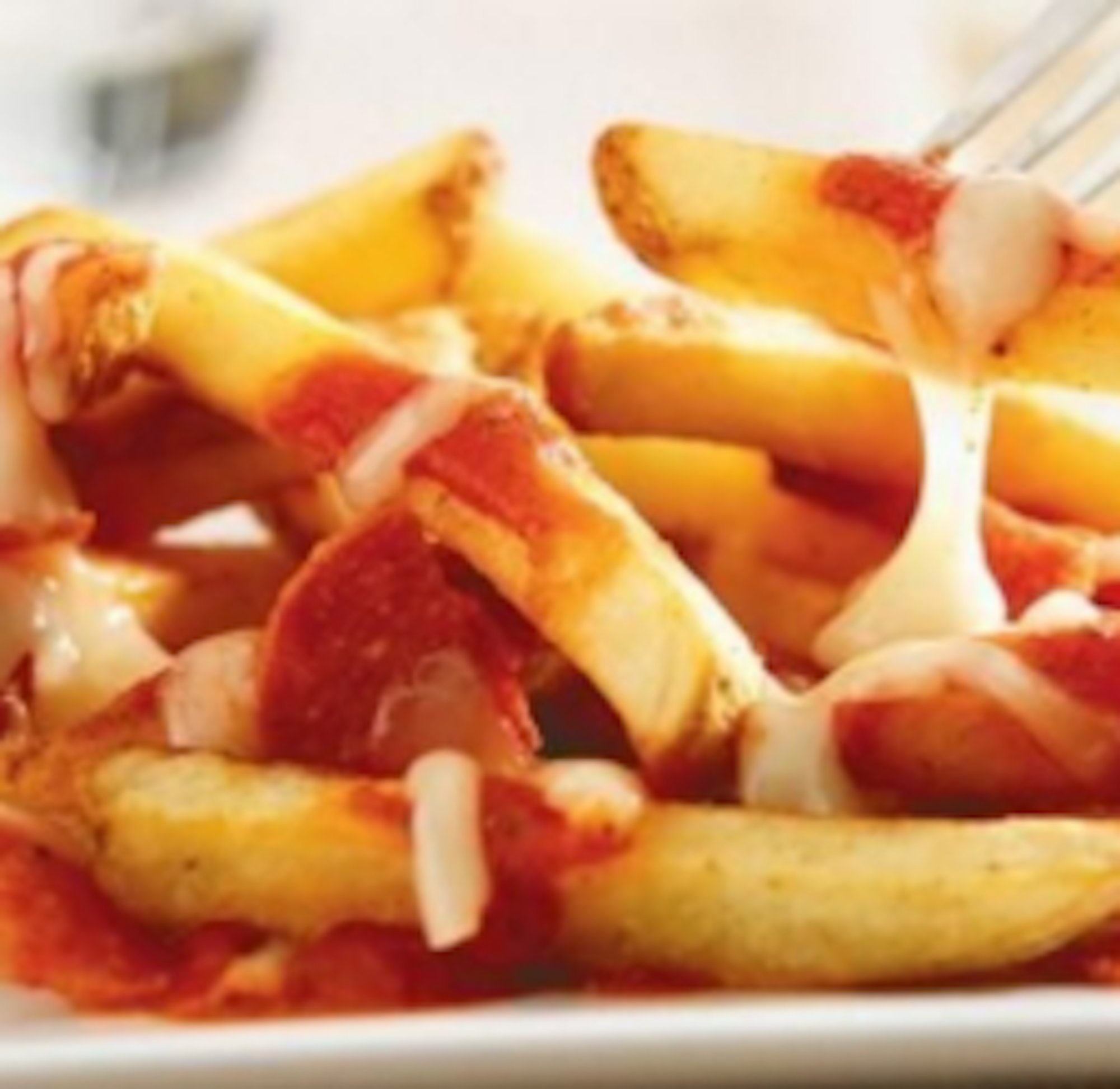 1 Lb Pizza Fries