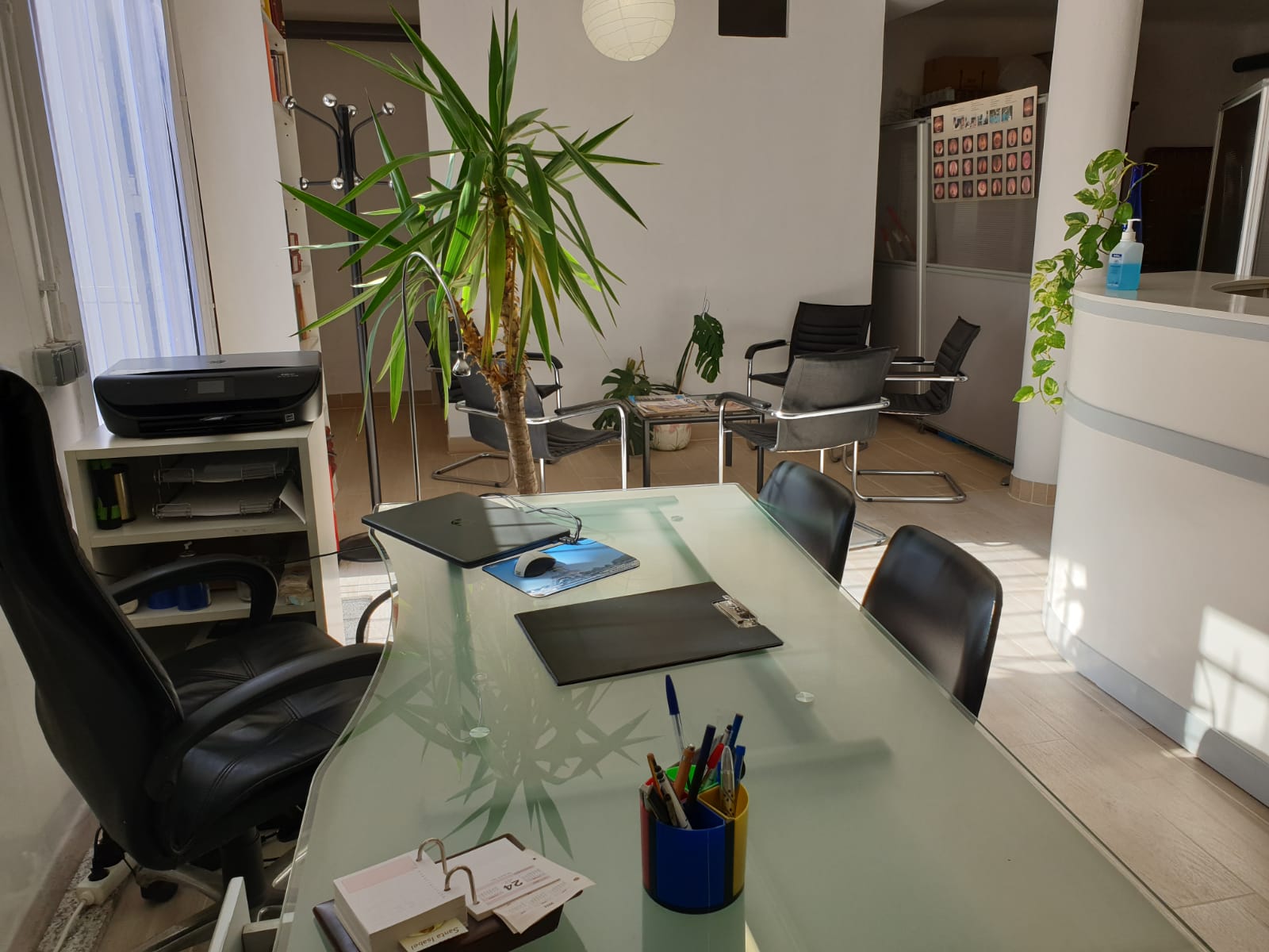 Galería en miniatura