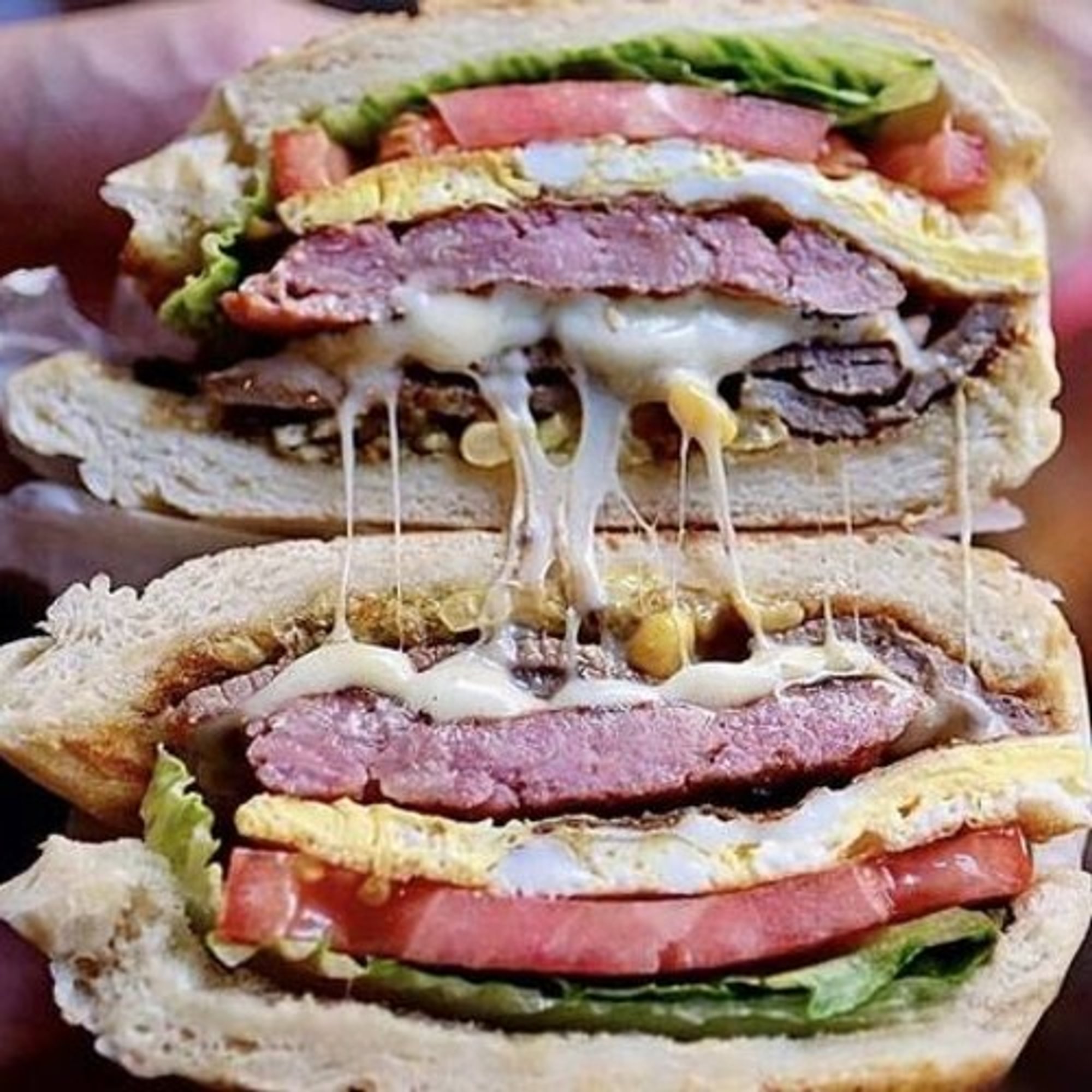 X Tudo Burger