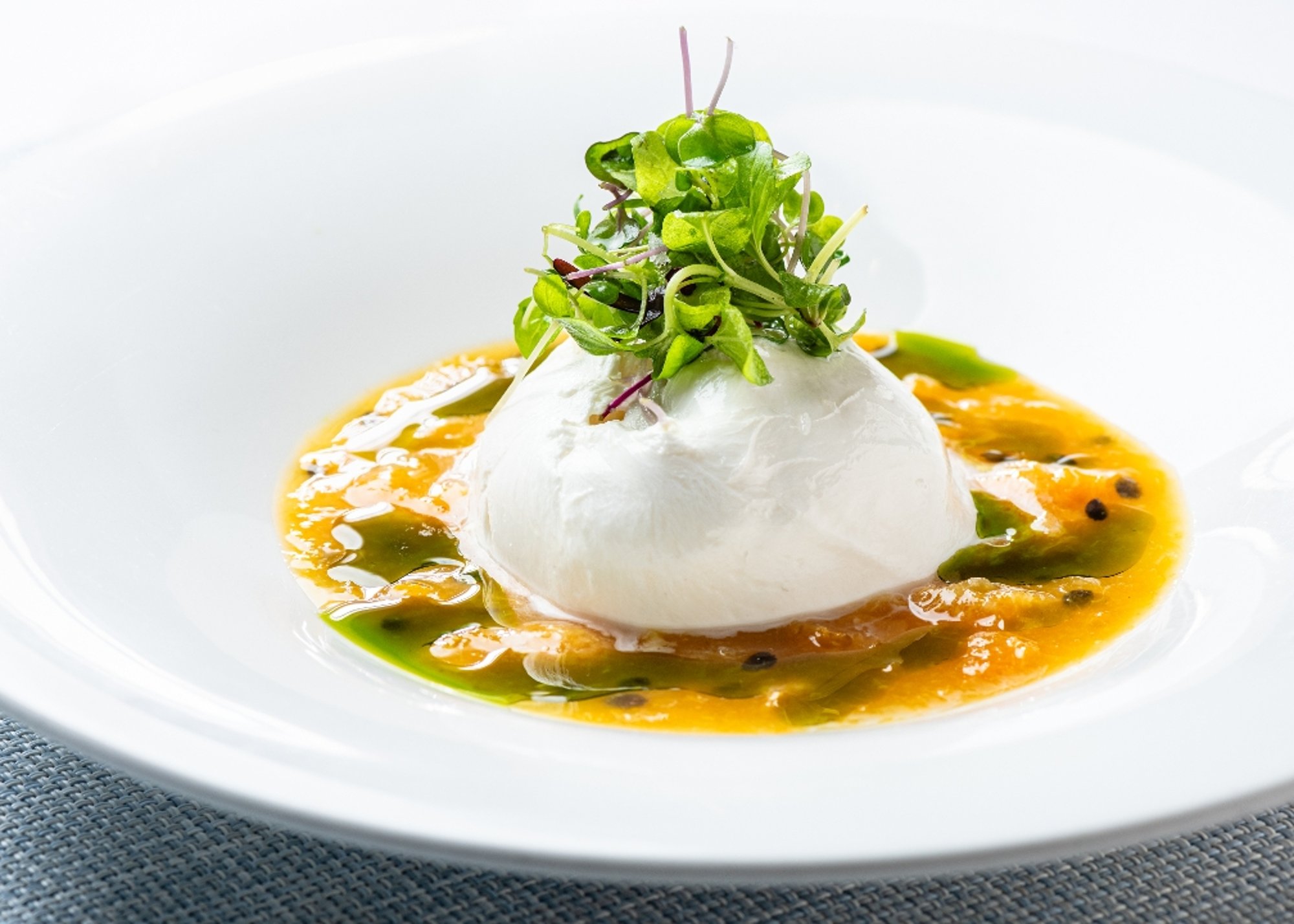 Burrata Appetizer