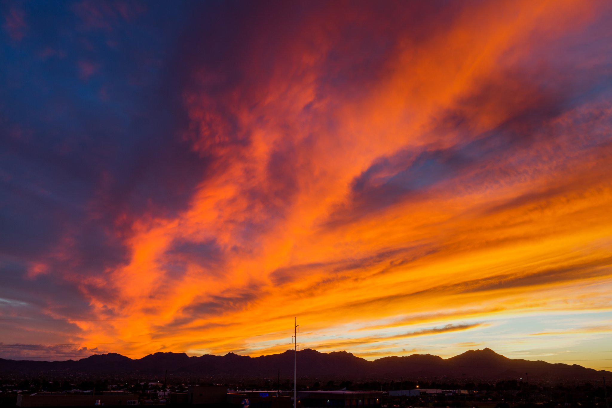 Candlewood Suites Tucson Photo