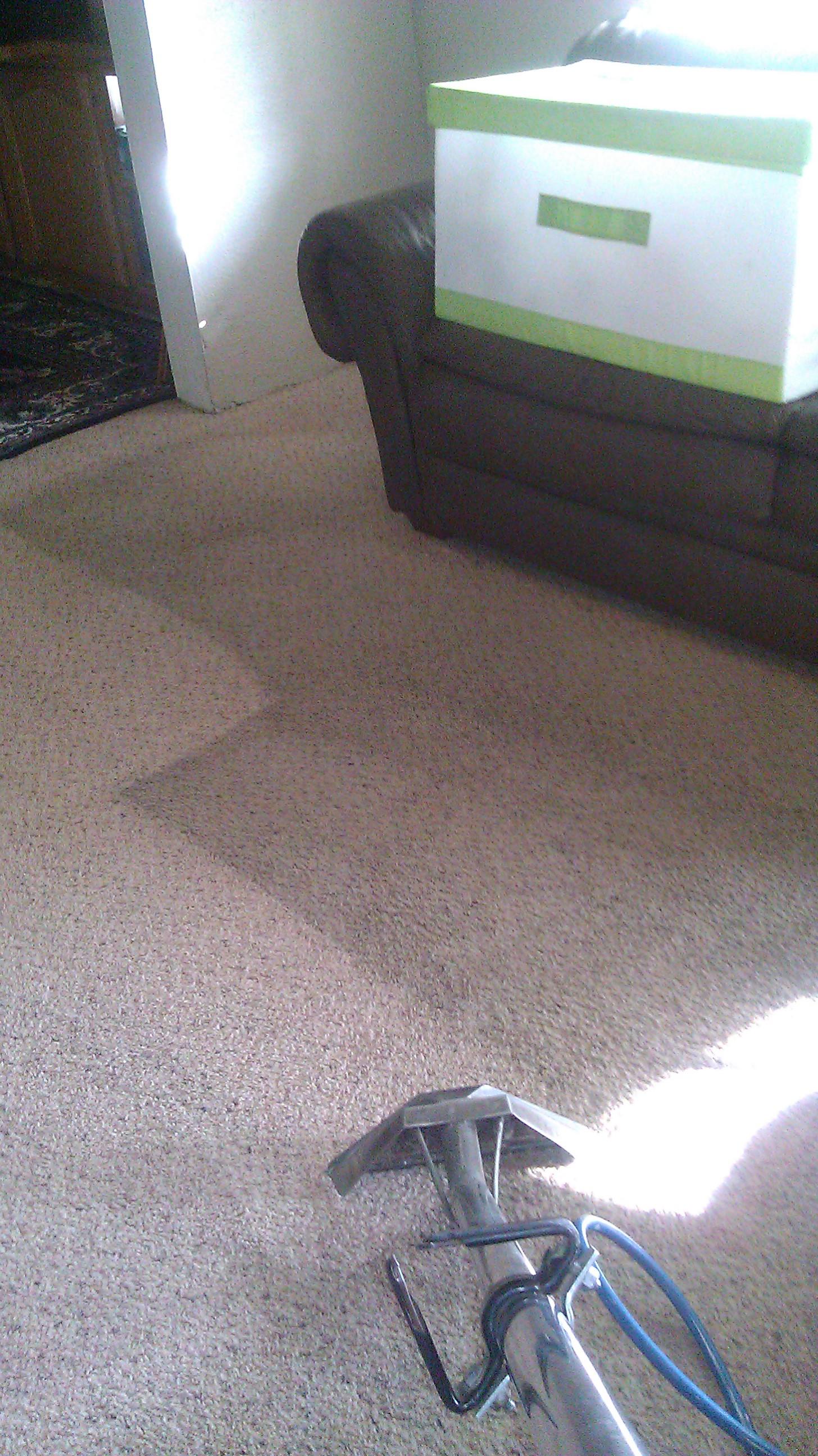 Excellence Janitorial Services & Carpet Cleaning Photo