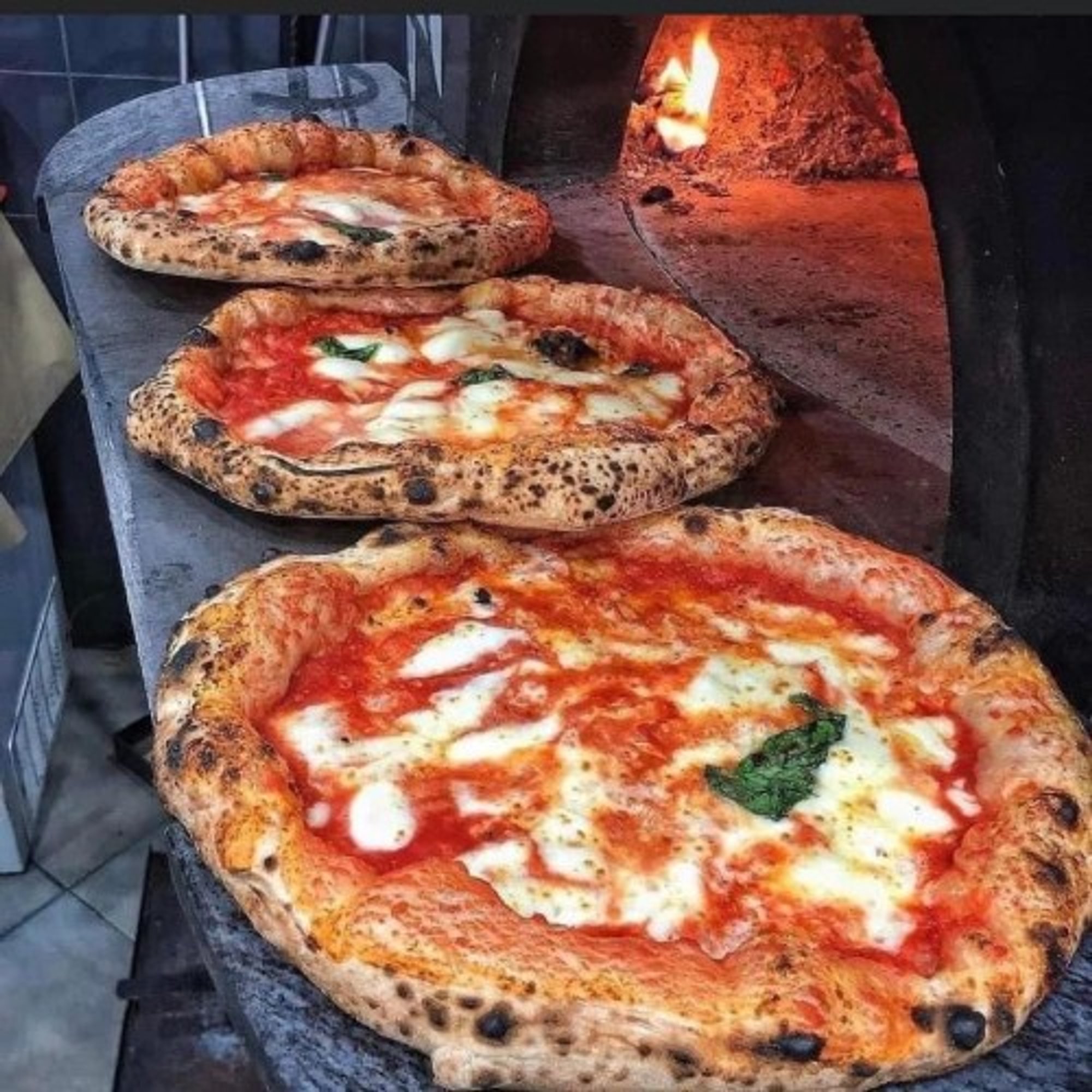Wood - Fired Margherita DOP