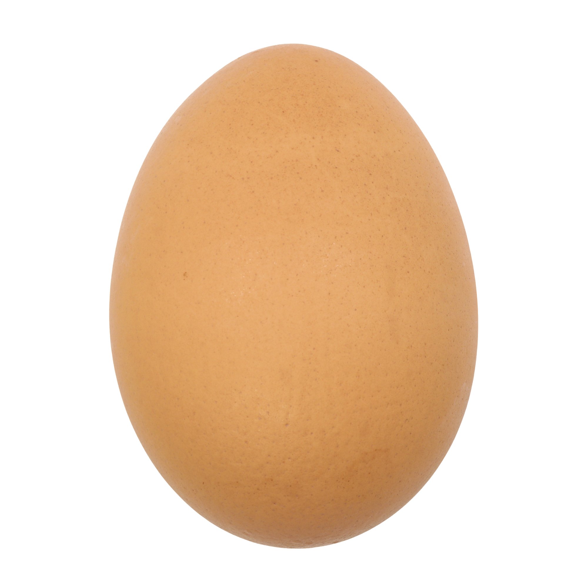 ONE EGG
