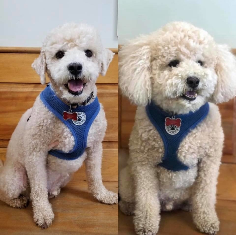 ritson veterinary clinic