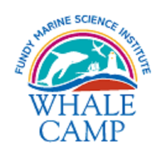 Whale Camp Logo