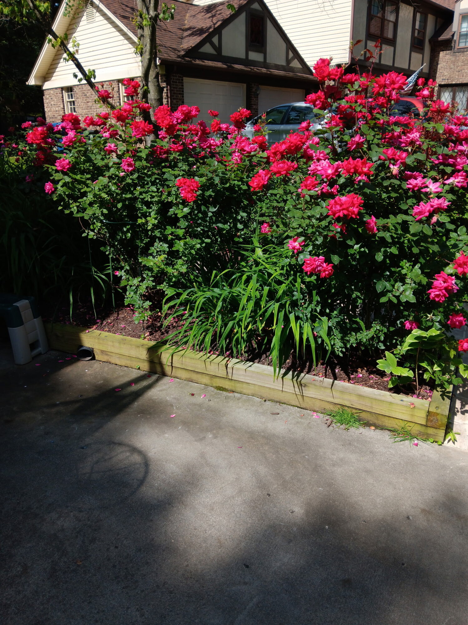 Barrys carpentry Image