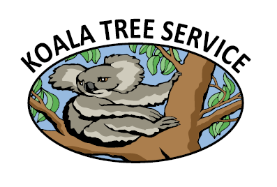 Koala Tree Service Photo