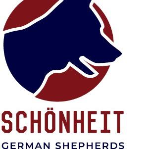 Schonheit German Shepherds
