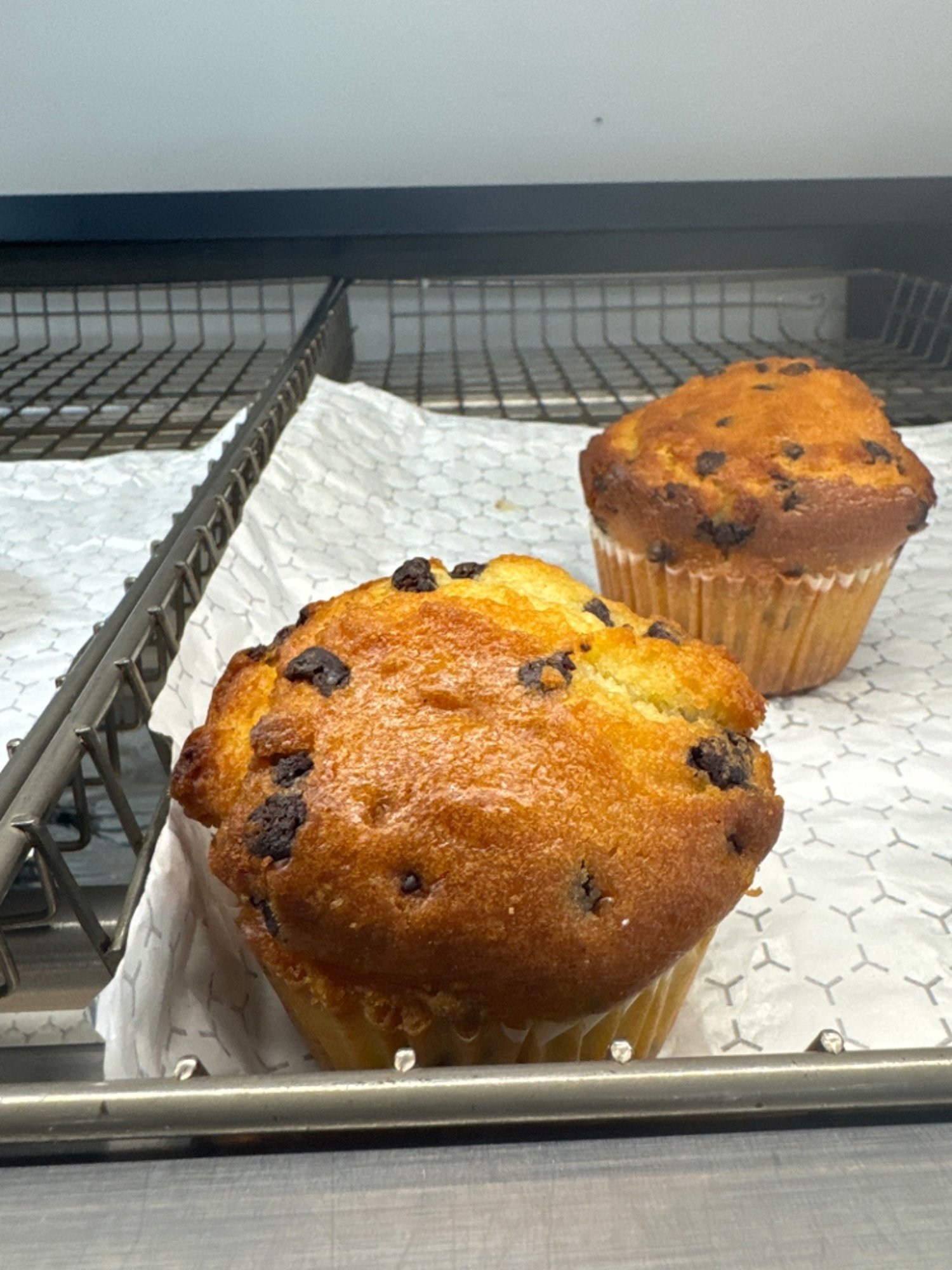 Chocolate Chip Muffin