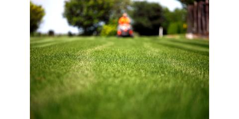 Roy's Lawn Mowing & Yard Services Photo