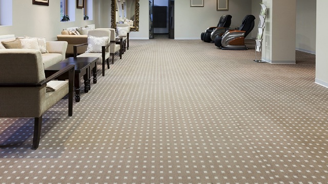 professional carpets paul