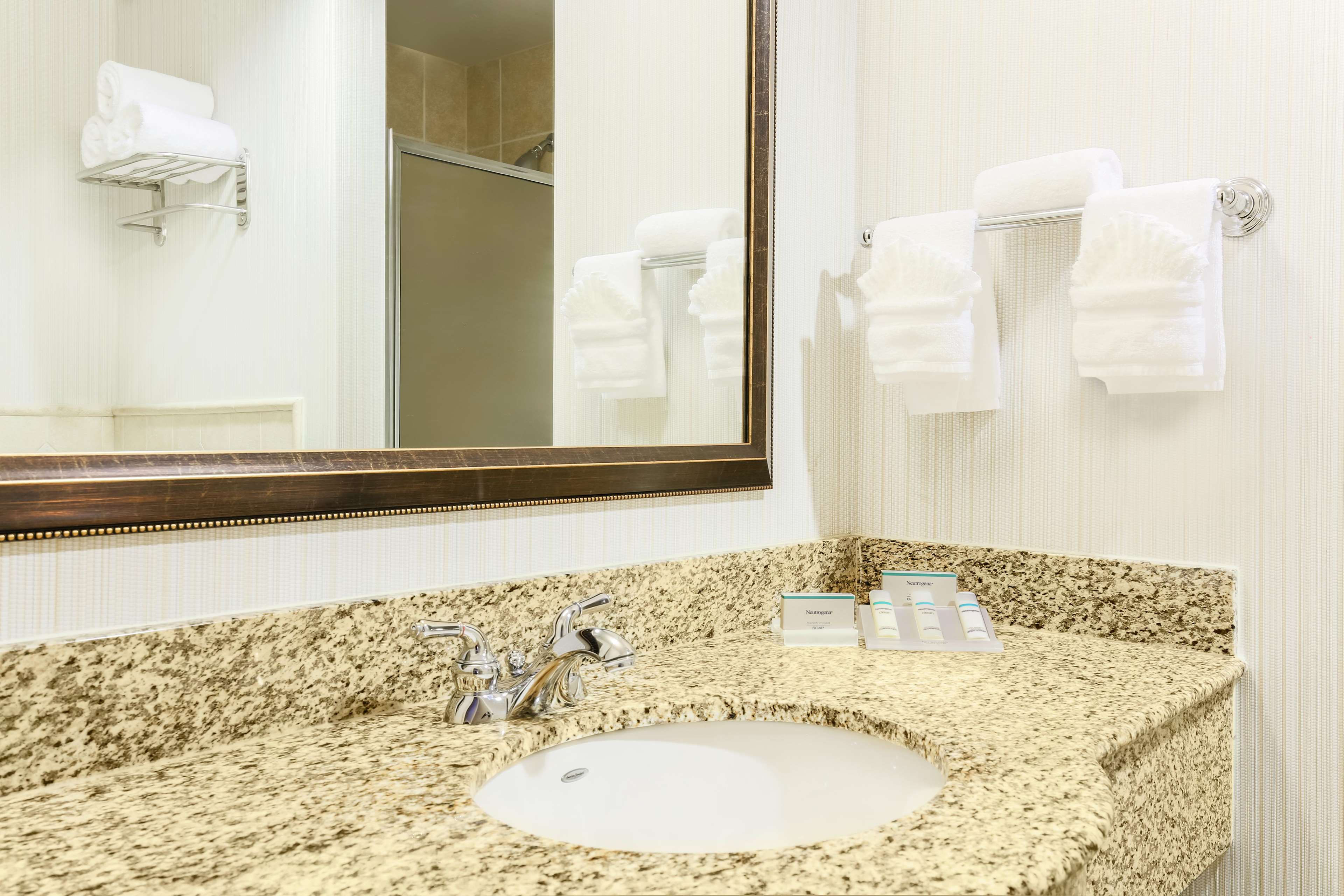 Hilton Garden Inn Dallas Lewisville Photo