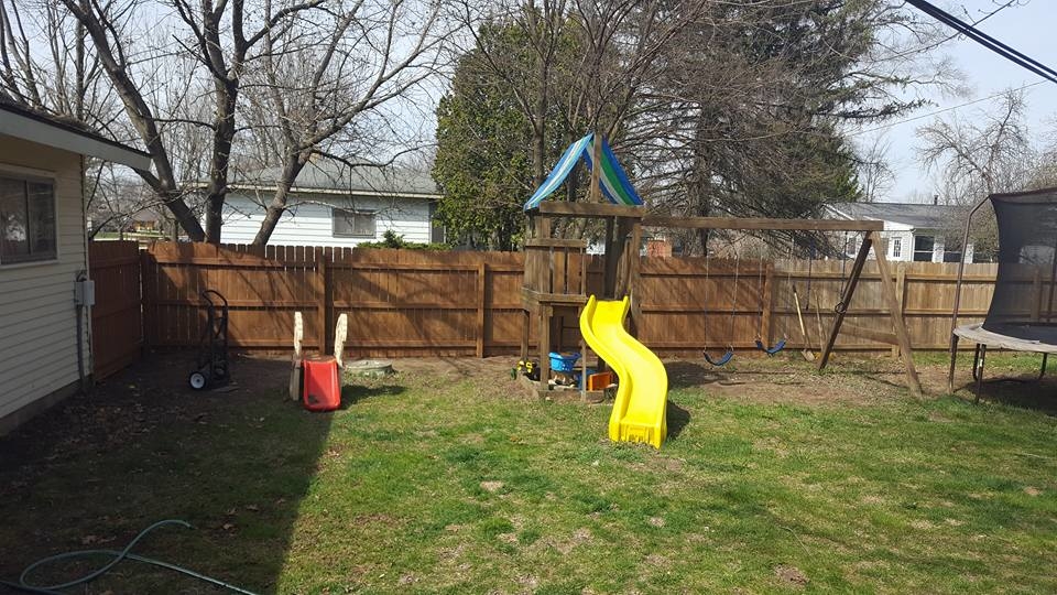 Think Green Window Clean Image