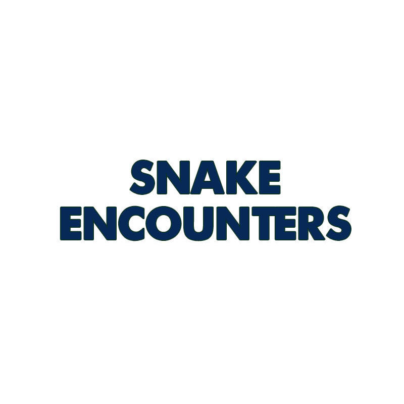 Snake Encounters Logo