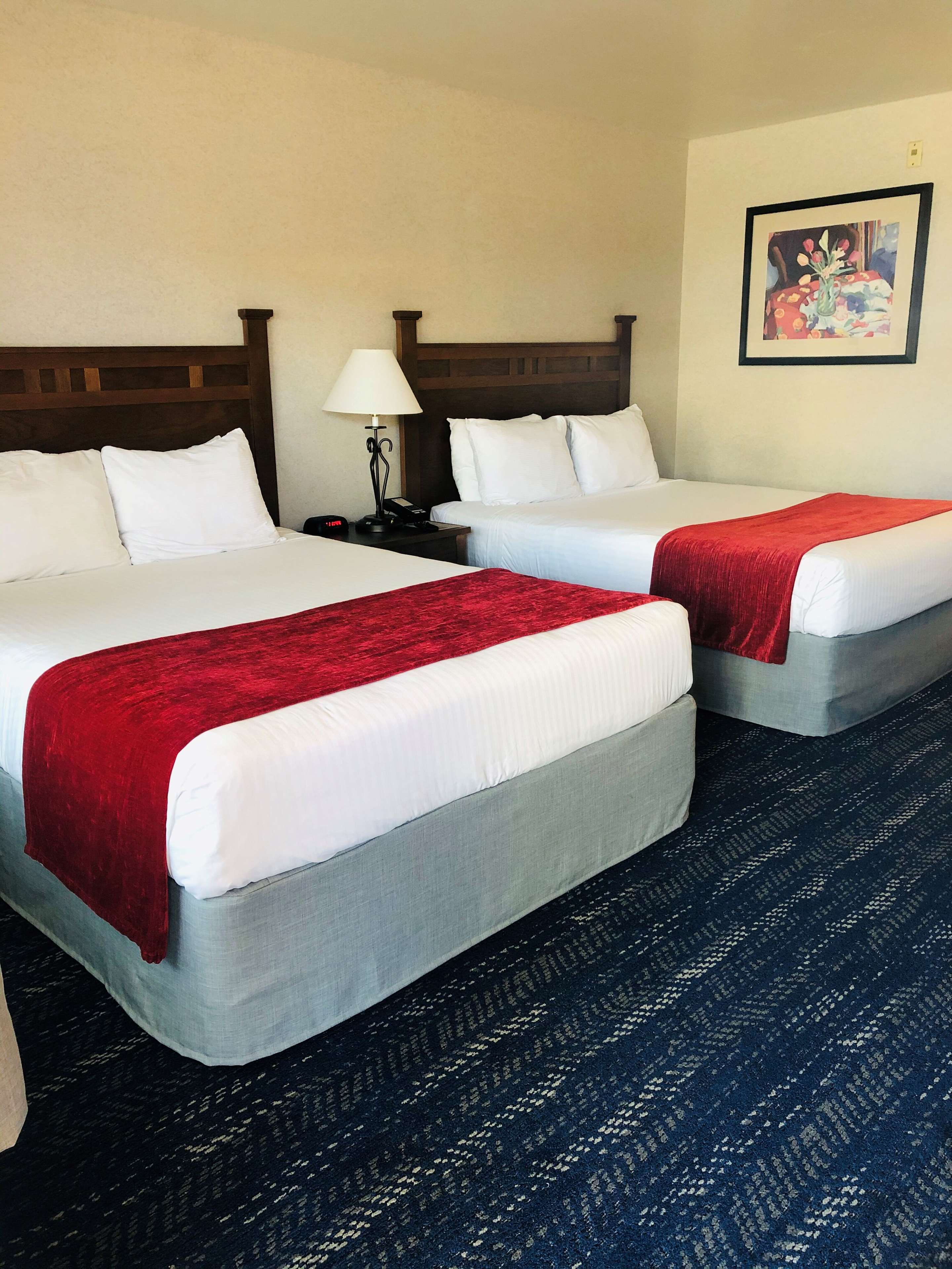 Best Western Lamplighter Inn & Suites at SDSU Photo