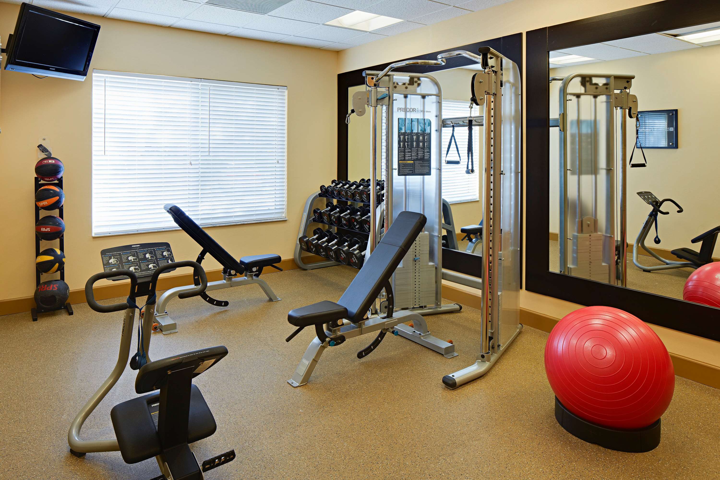 Health club  fitness center  gym