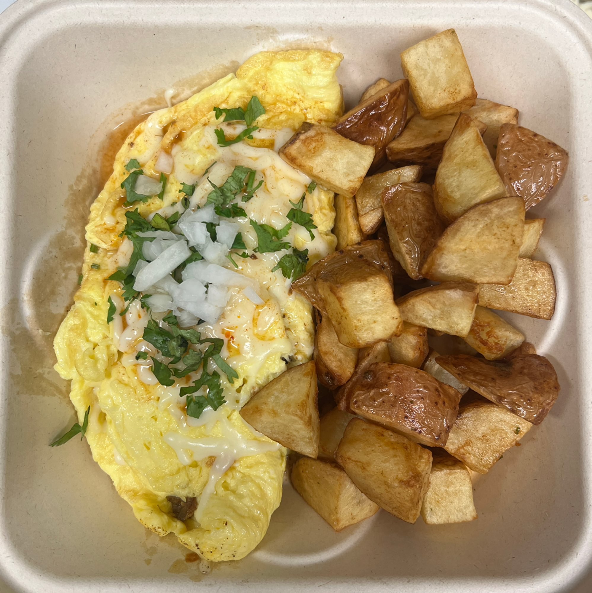 Birria Omelette