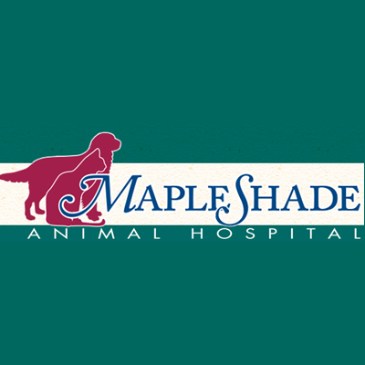 Maple Shade Animal Hospital