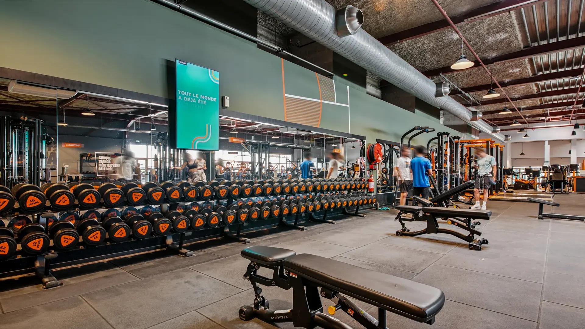 Miniature de la galerie