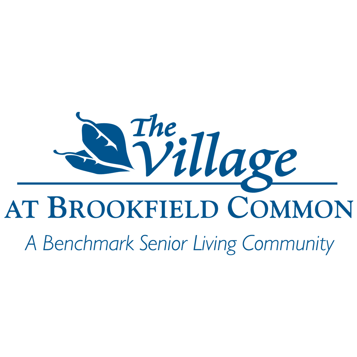 The Village at Brookfield Common Photo
