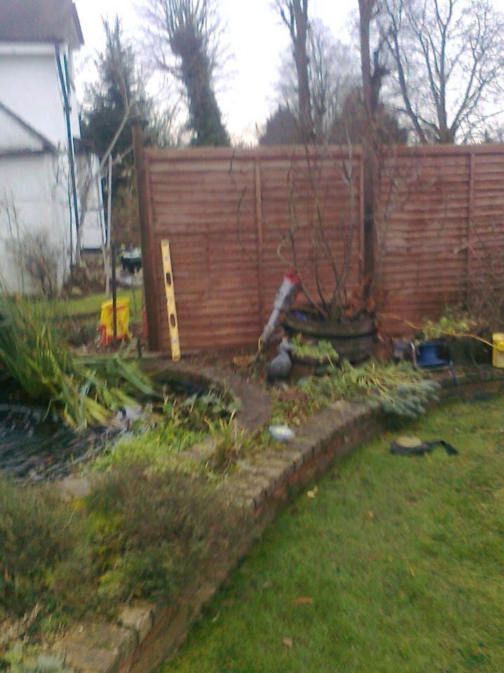 Images Tree & Garden Services