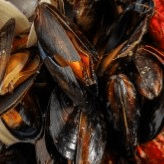 Black Mussel (Lb)