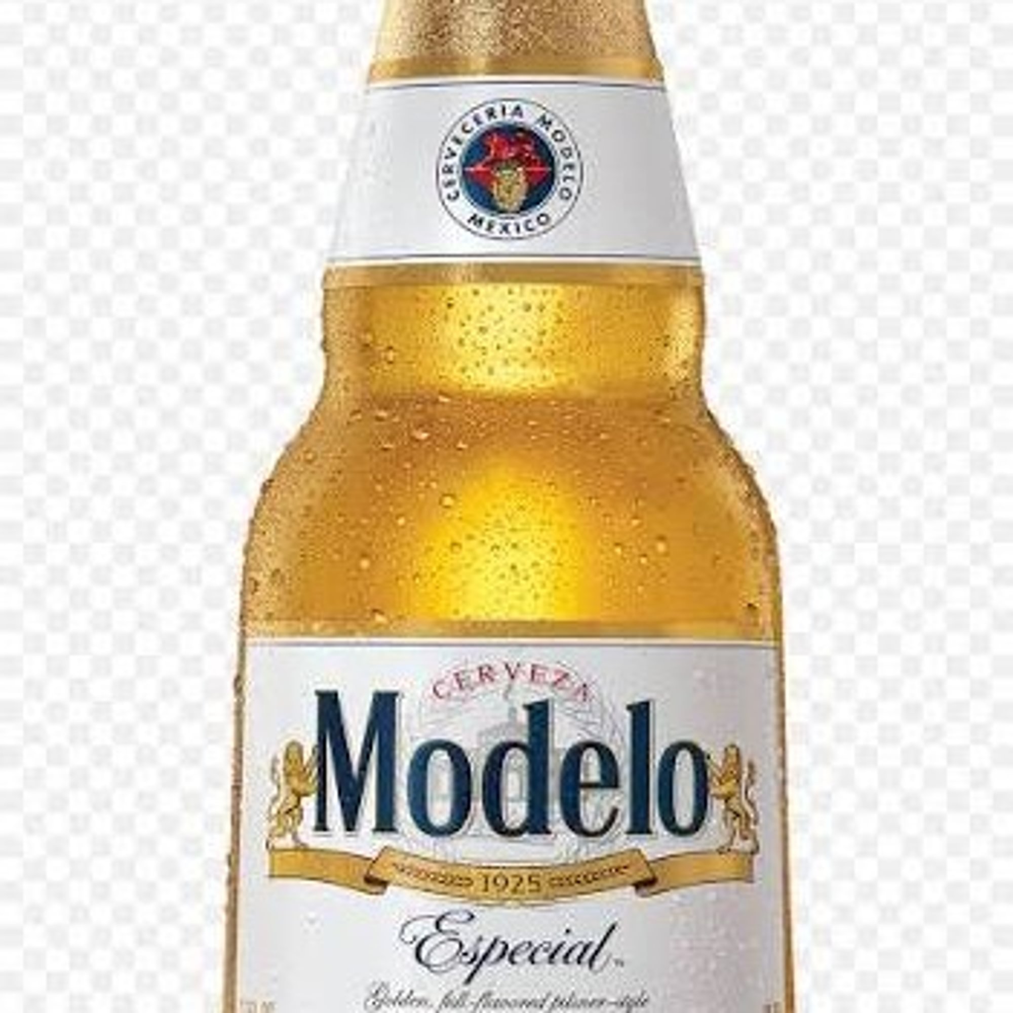 BTL Modelo Especial