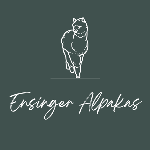Logo von Ensinger Alpakas GmbH