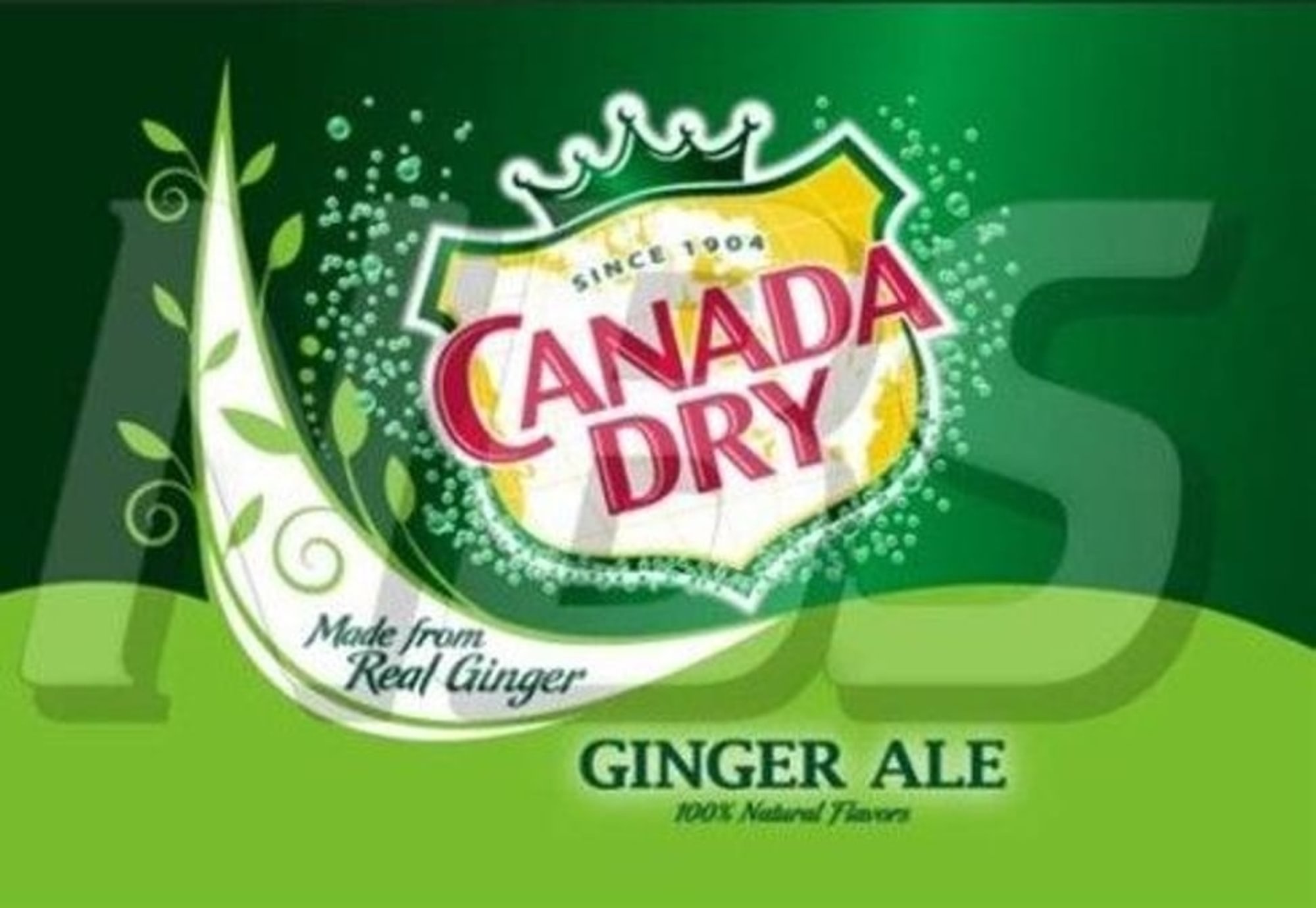 Ginger Ale In Can