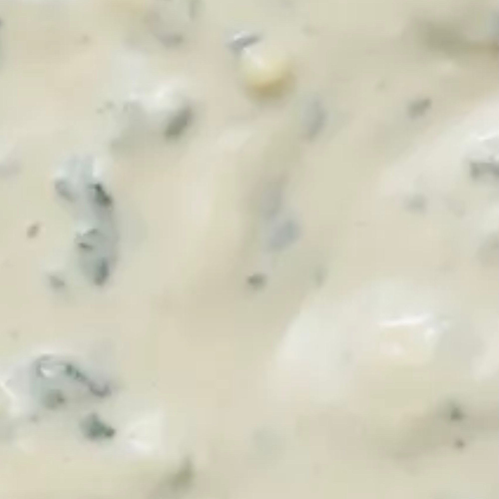 Blue cheese Sauce Cup
