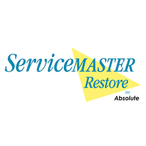 ServiceMaster Restore Absolute