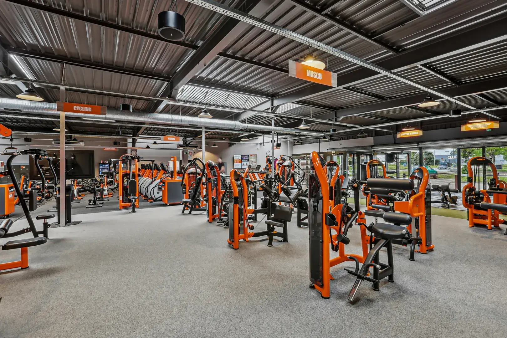 Miniature de la galerie