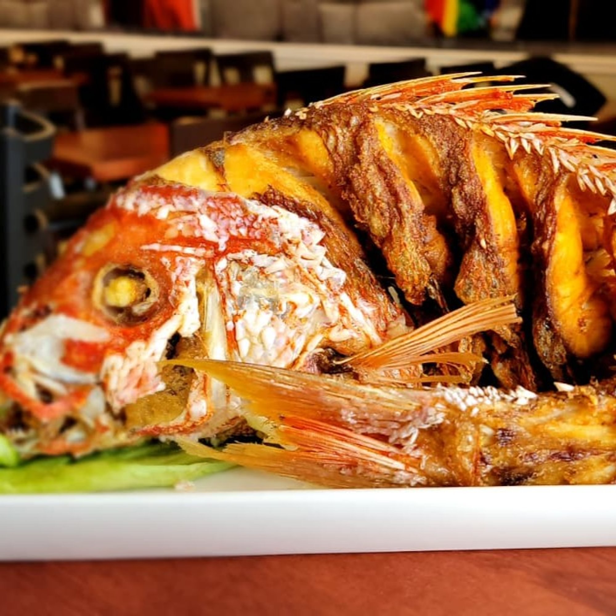 PARGO ROJO