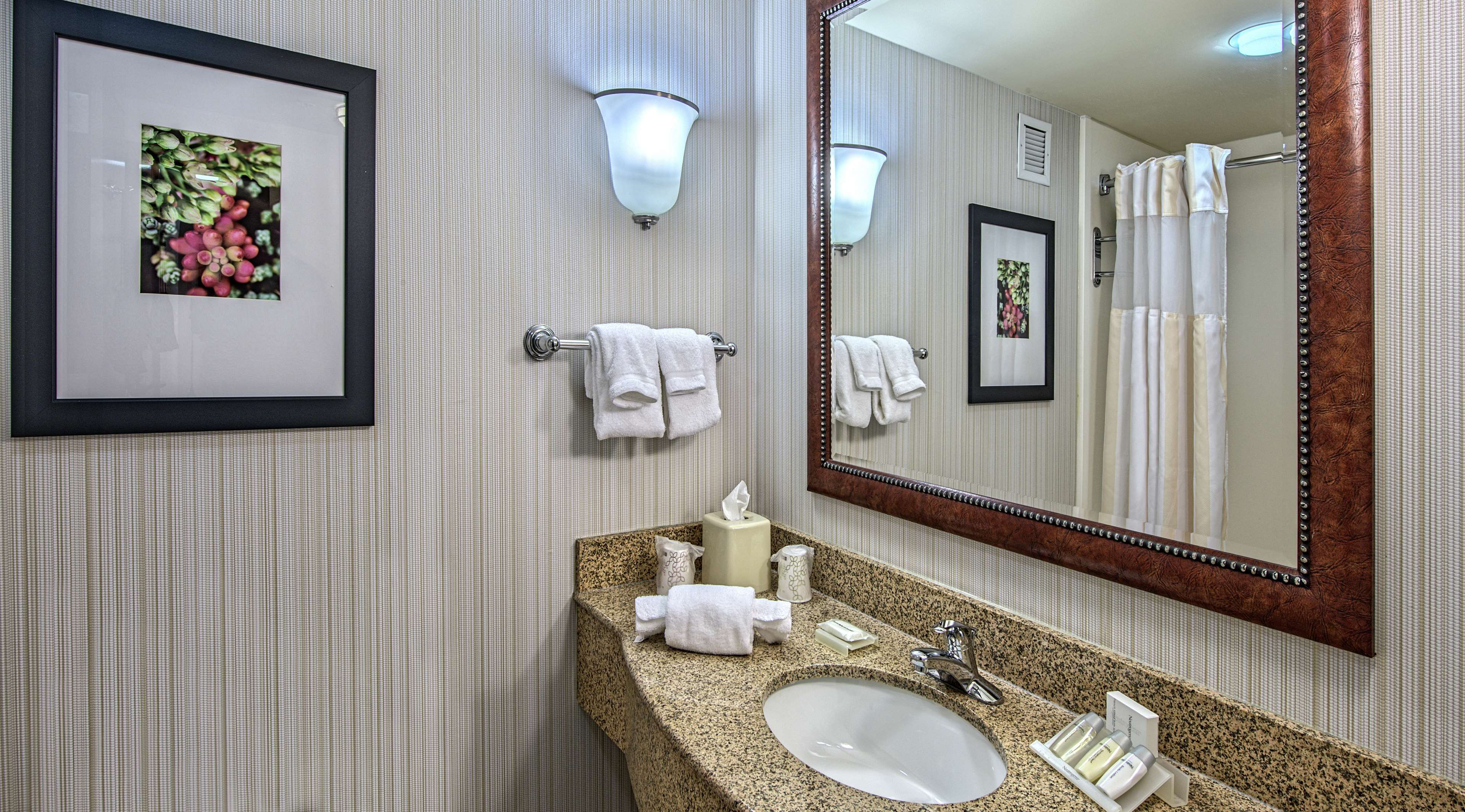 Guest room bath