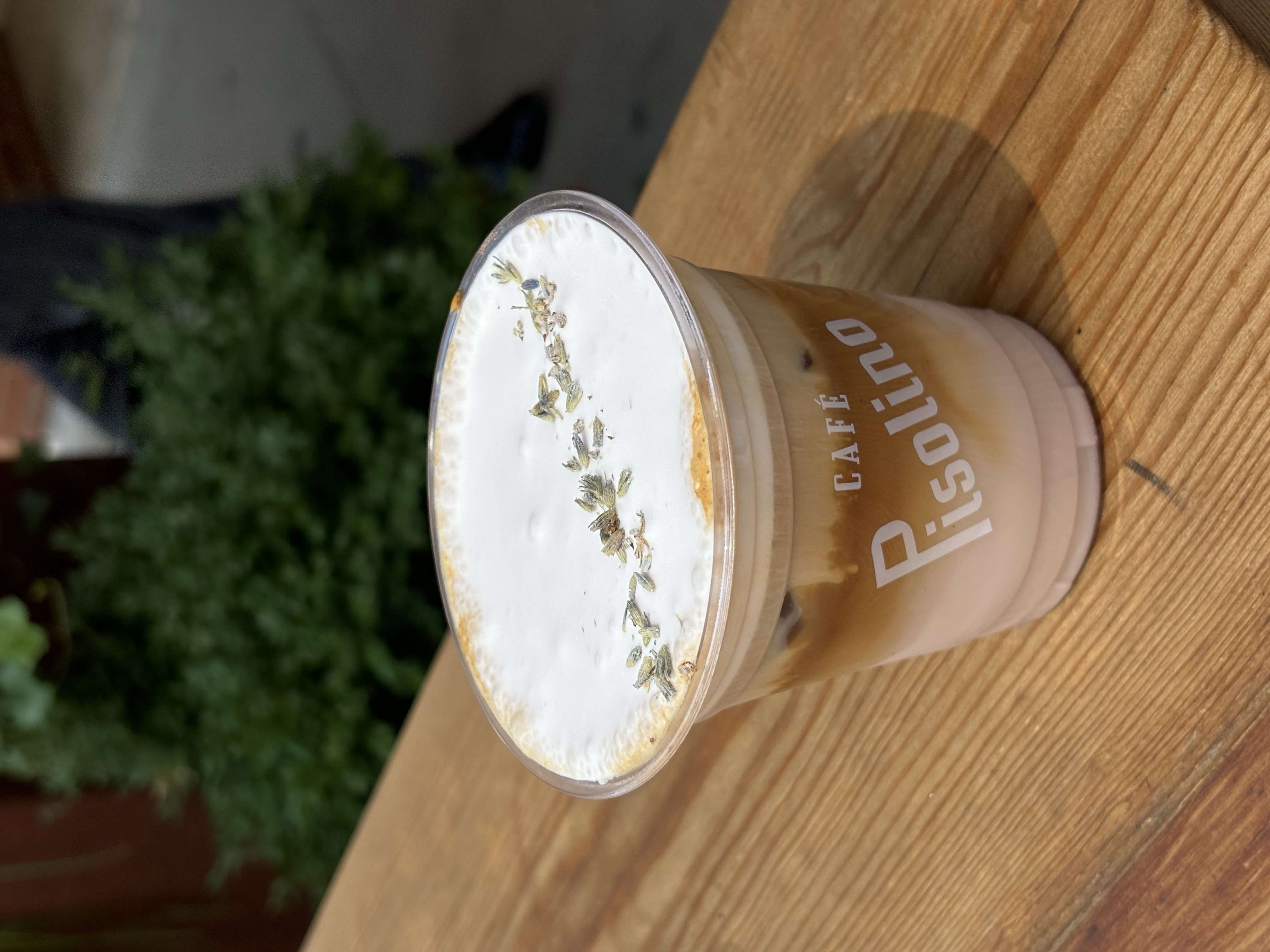 Café Pisolino Image
